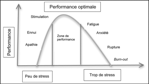 Comment Le Stress Influe Sur La Performance Sportive Sport Mental